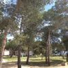 Отель Camp Porat, фото 2