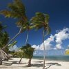 Отель Club St. Croix Beach & Tennis Resort by Antilles Resorts, фото 14