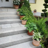 Отель Holiday Apartment in the Rose Garden, фото 17