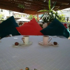 Отель Narcicegi Butik Otel Alacati, фото 23