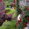 Отель Jennifer Home Hotel - Guest House, фото 9