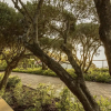 Отель Moondance Villa & Suites, фото 21
