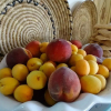 Отель Agriturismo La Genziana, фото 9