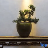 Отель Yunhe Shuian Country Hostel, фото 8