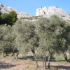 Отель Château de Servanes, фото 15