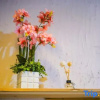 Отель She De Yuan Boutique Homestay, фото 6