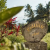 Отель Kawan Antique Ubud Villa, фото 17