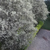 Отель Eden Lodge, фото 15
