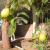 Отель Appartamenti in Villa Indipendente a 200 Metri Dalla Spiaggia - Fsi-fra02, фото 17