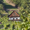 Отель Weinberg Lodge - Kellerstöckl, фото 9