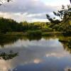 Отель Haus Waldviertel am Herrensee, фото 2