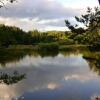 Отель Haus Waldviertel am Herrensee, фото 4