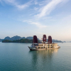 Отель Azalea Cruise, фото 23