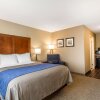 Отель Comfort Inn & Suites Rocklin - Roseville, фото 7