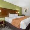 Отель Comfort Inn & Suites North Little Rock JFK Blvd, фото 7