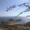 Отель Serifos Houses Aghios Sostis, фото 22