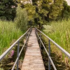 Отель Sapanca Cat Villa, фото 11