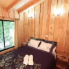 Отель Cabañas Los Alamos Neltume, фото 3