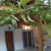 Отель Blue & White Maisonette Over The Sea Near Sounio, фото 9