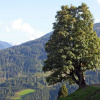 Отель Apartment in Sankt Johann im Pongau Near Ski Area, фото 23