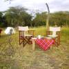 Отель Mbalageti Serengeti, фото 15