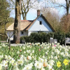 Отель Romantic Farmhouse in Bergen near Forest, фото 1
