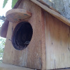 Отель Baan Suan Nuchliang Homestay, фото 10
