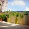 Отель Meet travelers Guest House, фото 23