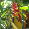 Отель Maracujá Hostel, фото 8