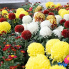 Отель Shouzhuoyuan Resort, фото 16