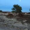 Отель Albergue Rural El Huarango, фото 20