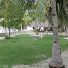 Отель Cliff Side Beach Resort & Cottages, фото 14
