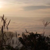 Отель Phu Plai Fah, фото 6