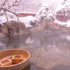 Отель Shinhotaka Onsen Resort In Chirorian, фото 18