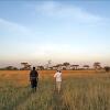 Отель Ikoma tented Camp, фото 14