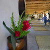 Отель Hacienda San Francisco, фото 16