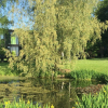Отель Rungstedgaard, фото 9