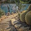 Отель Relais Garden Cactus B&B, фото 15