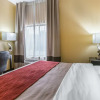 Отель Comfort Inn, фото 4