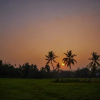 Отель Green View Homestay, фото 14