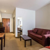 Отель Quality Inn & Suites, фото 4