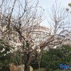 Отель Oriental Rihigh International Hot Spring Resort, фото 47