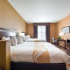 Отель Quality Inn & Suites, фото 4