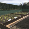 Отель Liencres Apartamentos, фото 16