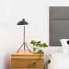 Отель Lola Sophisticated 3 Level Stunner with Private Rooftop, фото 4