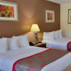 Отель Ramada Hotel & Suites Warner Robins, фото 5