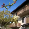 Отель Ristorante Pensione Belandin, фото 19