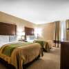 Отель Comfort Inn, фото 4