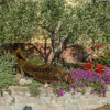 Отель Agriturismo Lodolazzo, фото 1