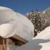 Отель Alpine Lodge Klösterle am Arlberg, фото 20